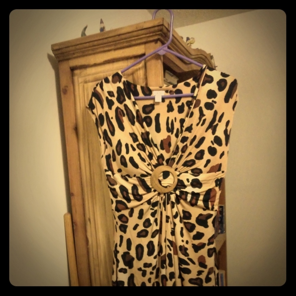 Cache Dress  size (L) or (12-14)